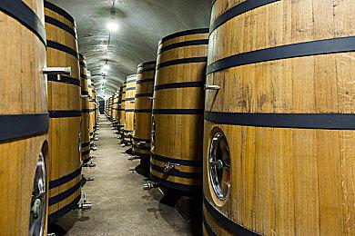 我国移动游戏收入占比较全球高23% 更快拥抱先进技术